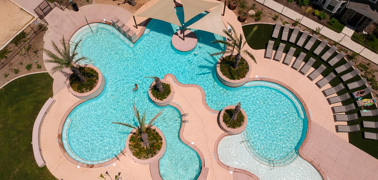 Curvy hotel pool with five palm trees integrated into its design.