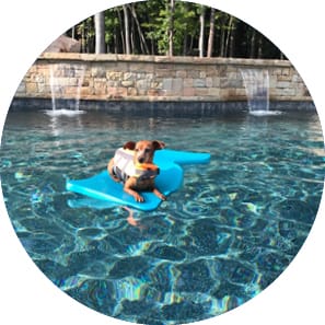 Dog floating on a raft in swimming pool.