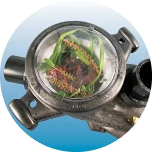 Pool pump with clear-topped strainer basket filled with leaves and debris.