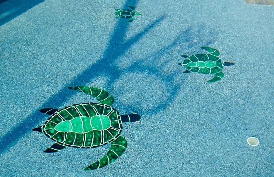 Turtle mosaics on the floor of a Tucson swimming pool.